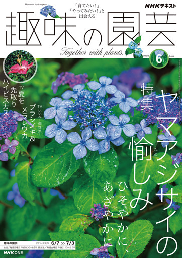 ＮＨＫ 趣味の園芸2026年6月号