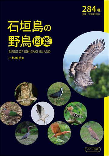 石垣島の野鳥図鑑