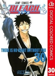 BLEACH カラー版 30