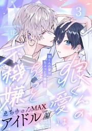 狼くんの愛はちょっと不機嫌3-アイドル編-(3)