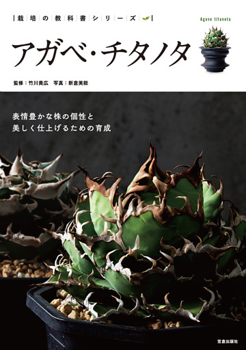 アガベ・チタノタ