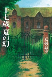十七歳、夏の幻