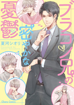 ブラコン兄の密やかな憂鬱