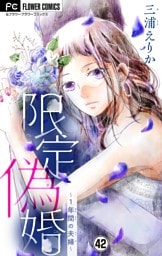 限定偽婚～1年間の夫婦～【マイクロ】（４２）