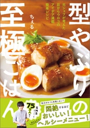 型やぶりの至極ごはん