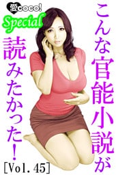 こんな官能小説が読みたかった！vol.45