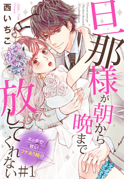 旦那様が朝から晩まで放してくれない～エッチで甘いワケあり婚!?