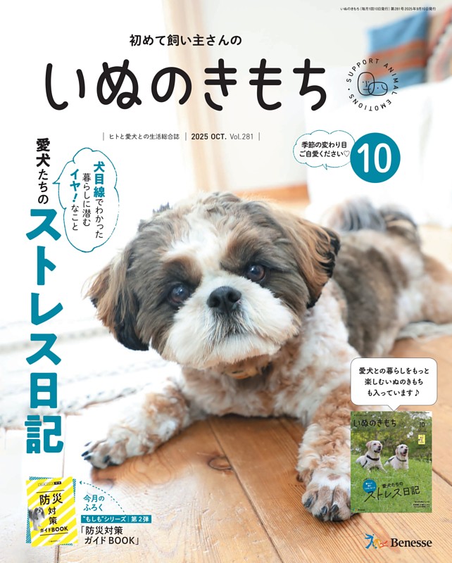 いぬのきもち　2024年　1年分　まとめ売り　12冊 2025年最新】いぬのきもち12冊の人気アイテム - メルカリ