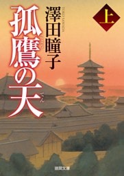 孤鷹の天 上〈新装版〉