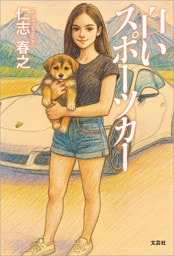 白いスポーツカー