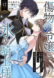 傷物令嬢と氷の騎士様～前世で護衛した少年に今世では溺愛されています～１２