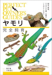 ヤモリ完全飼育