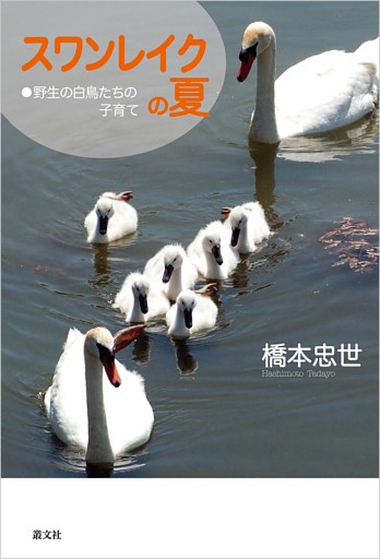 スワンレイクの夏—野生の白鳥たちの子育て