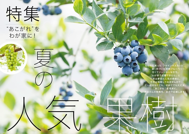 ［特集］夏の人気果樹