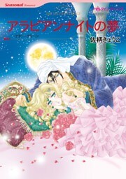 アラビアンナイトの夢【分冊】 8巻
