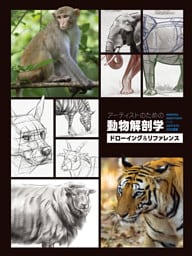 アーティストのための動物解剖学：ドローイング＆リファレンス