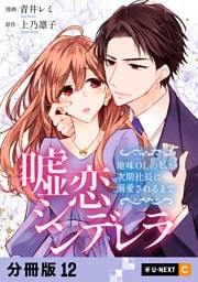嘘恋シンデレラ～地味OLの私が次期社長に溺愛されるまで～ 【分冊版】 12
