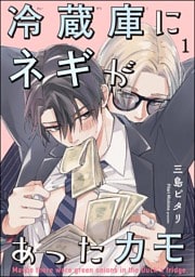 冷蔵庫にネギがあったカモ(分冊版) 【第1話】