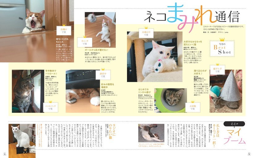 ネコまみれ通信