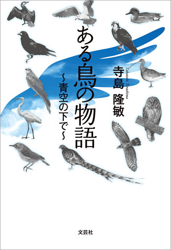 ある鳥の物語 ～青空の下で～