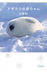 アザラシの赤ちゃん