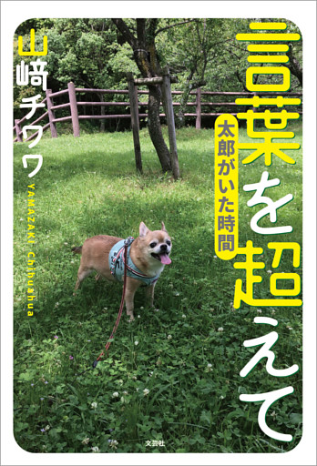 言葉を超えて 太郎がいた時間