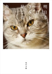 明日も一日きみを見てる