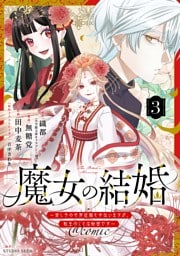 魔女の結婚～愛し子の世界征服を手伝いますが、転生のことは秘密です～@comic【単話】（３）