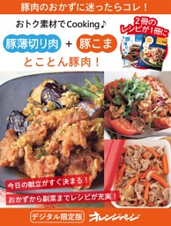 とことん豚肉！ 豚薄切り肉＋豚こま～おトク素材でCooking♪ 表紙