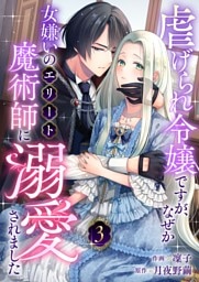 虐げられ令嬢ですが、なぜか女嫌いのエリート魔術師に溺愛されました(3)