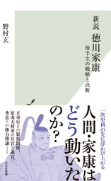 新説　徳川家康～後半生の戦略と決断～