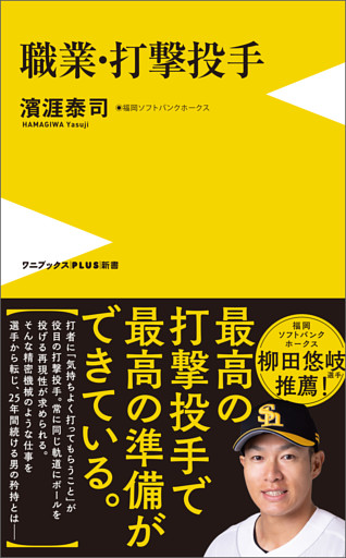 職業・打撃投手