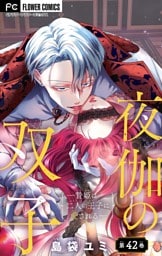 夜伽の双子―贄姫は二人の王子に愛される―【マイクロ】（４２）