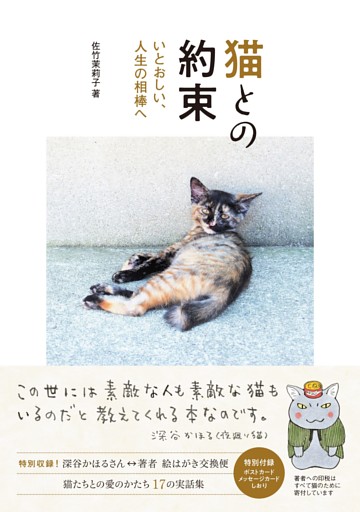 猫との約束