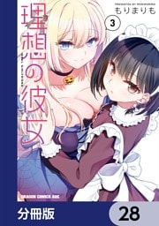 理想の彼女【分冊版】　28