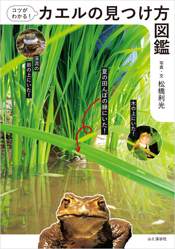 コツがわかる！カエルの見つけ方図鑑