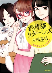 泥棒猫ヒナコの事件簿　泥棒猫リターンズ