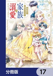 無能な継母ですが、家族の溺愛が止まりません！【分冊版】　17