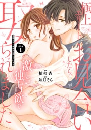 極上エリートとお見合いしたら、激しい独占欲で娶られました　俺様上司と性癖が一致しています【番外編１】