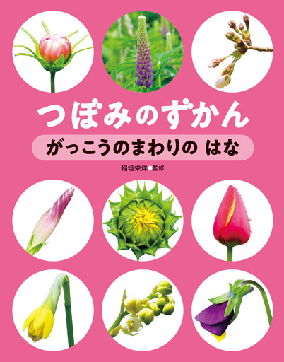 つぼみの ずかん