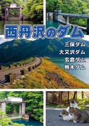 西丹沢のダム