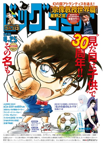 ビッグコミック