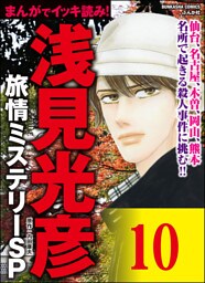 浅見光彦ミステリーSP（分冊版）　【第10話】