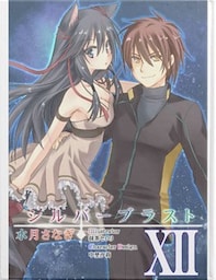 シルバーブラスト　XII