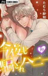 今夜も騙されハニー【マイクロ】（３９）