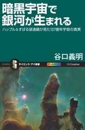 暗黒宇宙で銀河が生まれるハッブル＆すばる望遠鏡が見た137億年宇宙の真実