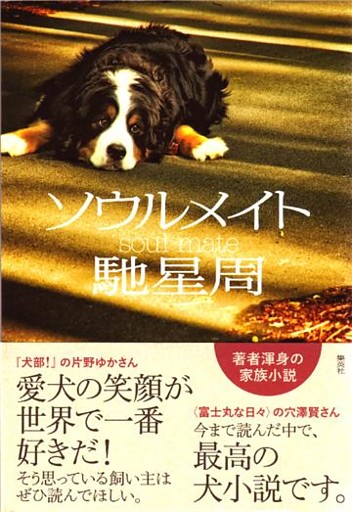 ソウルメイト【電子特別版】
