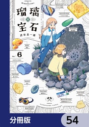 瑠璃の宝石【分冊版】　54