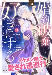 婚約破棄されたので、好きにすることにした。　分冊版（１１）