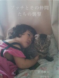 ブッチとその仲間たちの襲撃